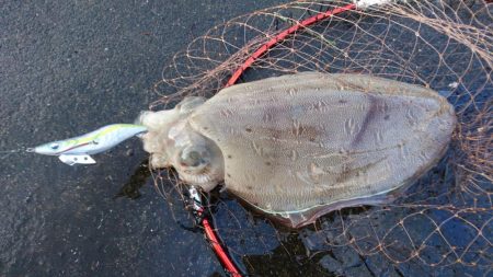 やっぱなんか渋いw